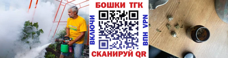 Где купить наркотики Каргополь Каннабис  Alpha PVP  ГАШИШ  Галлюциногенные грибы  Меф  АМФ 