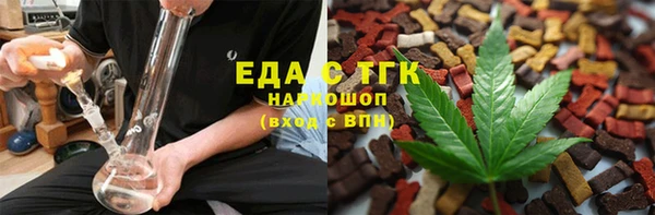 индика Касимов