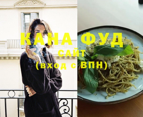 индика Касимов