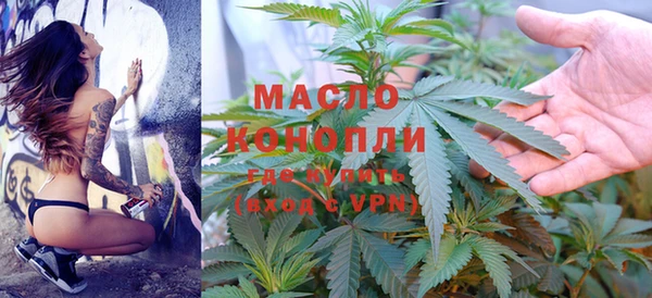 индика Касимов