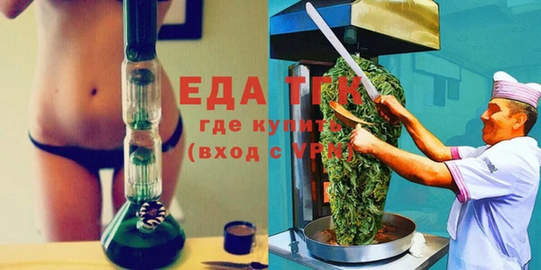 индика Касимов