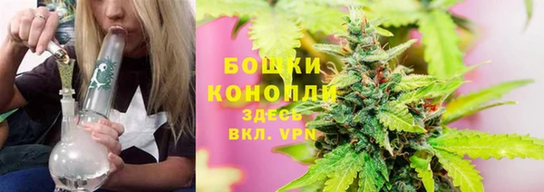 индика Касимов