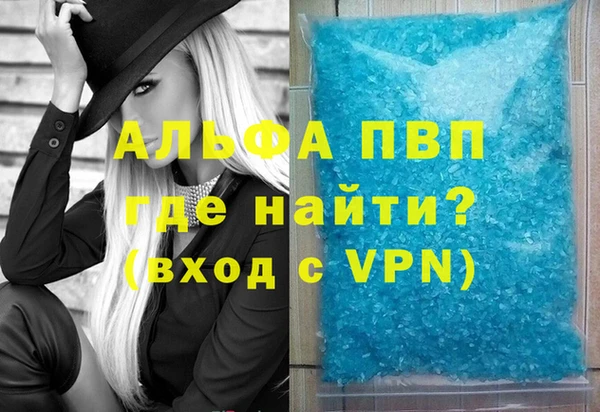 индика Касимов